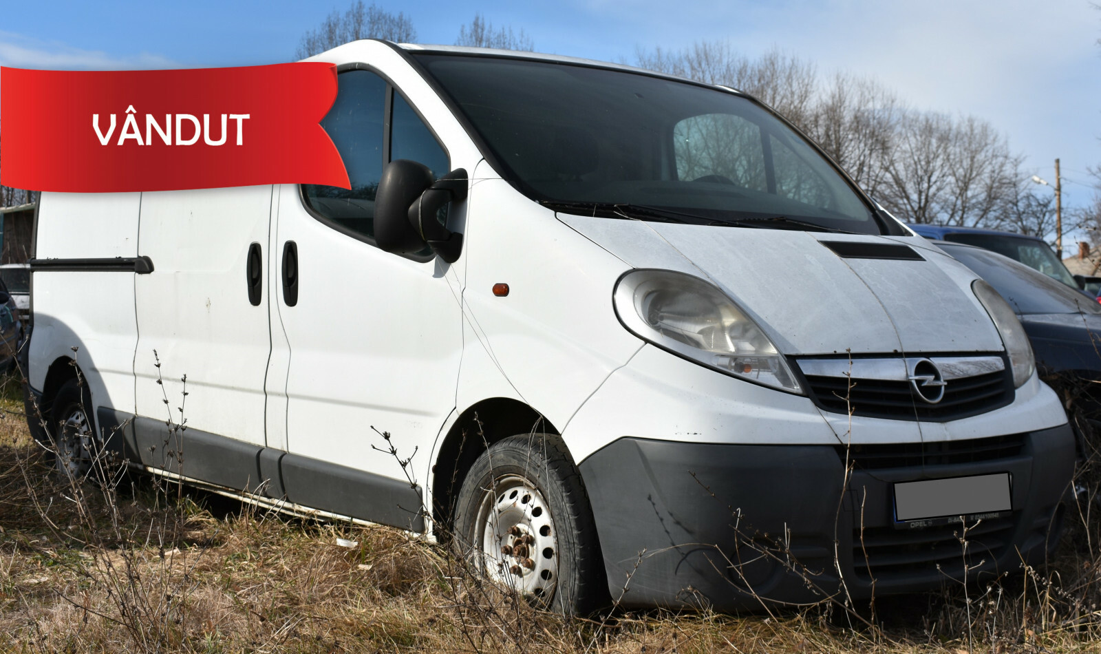 Opel Vivaro (an 2008) - Reluare 2